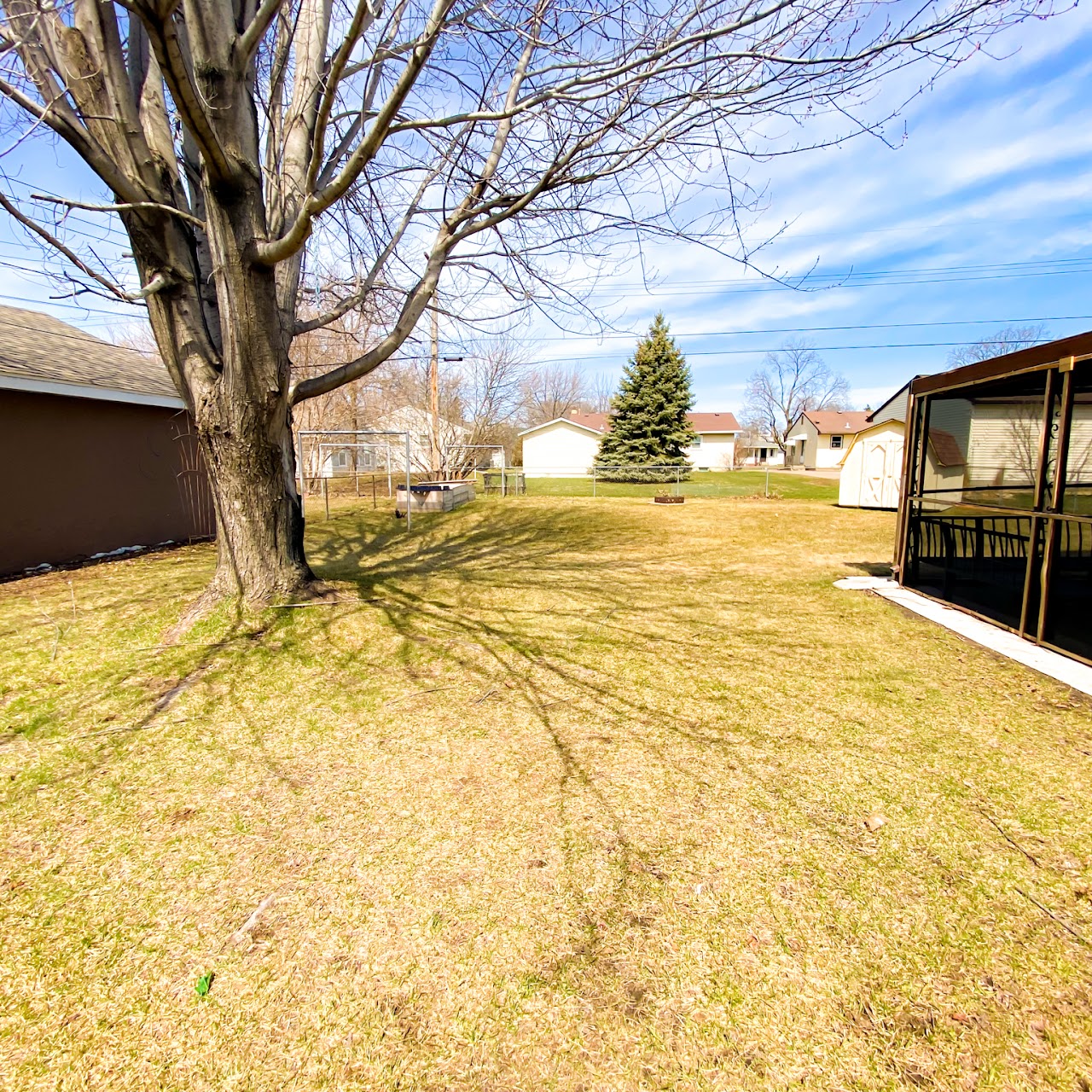 Big backyard